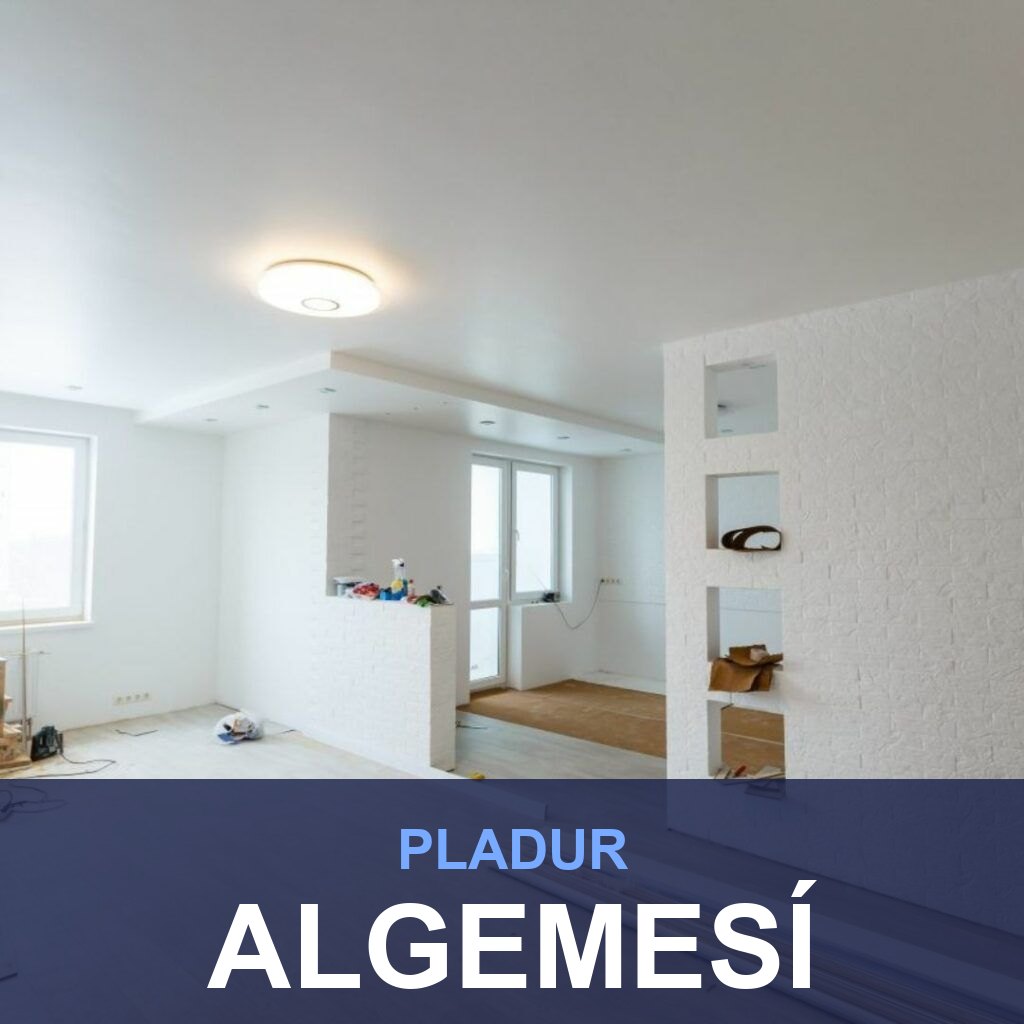 Pladur en Algemesí: tabiques, techos y trasdosados