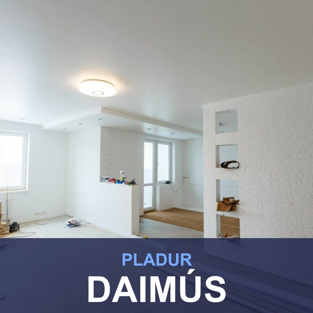 Pladur en Daimús: tabiques, techos y trasdosados