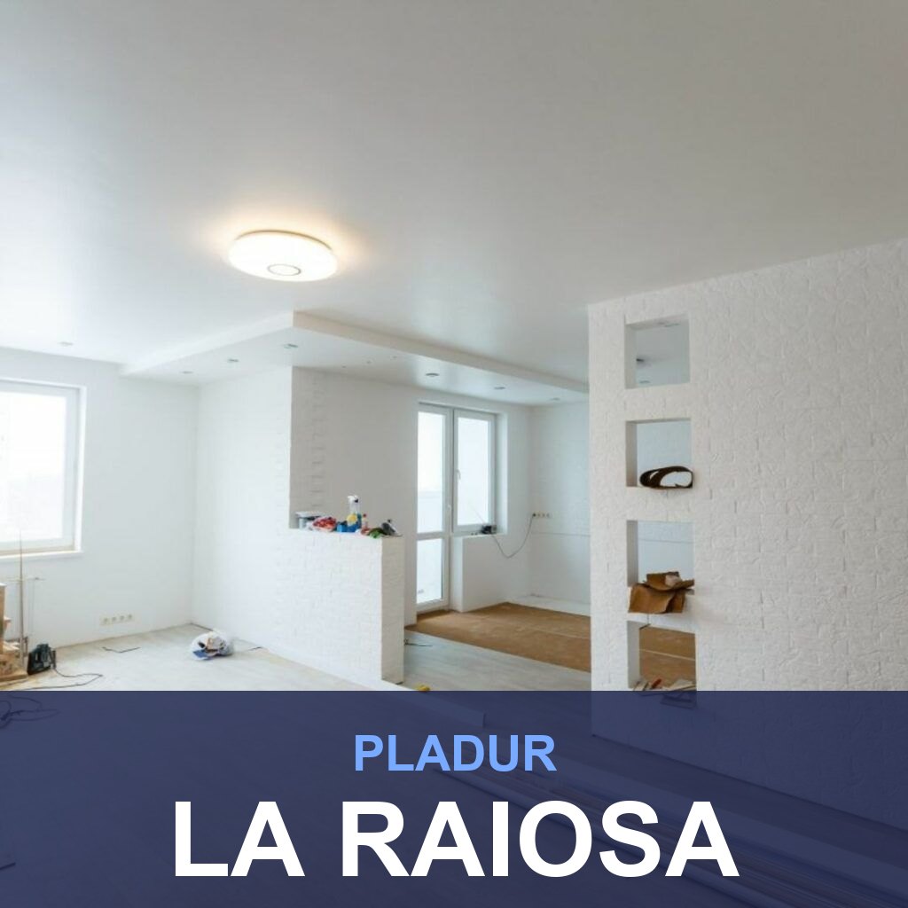 Pladur en La Raiosa: tabiques, techos y trasdosados