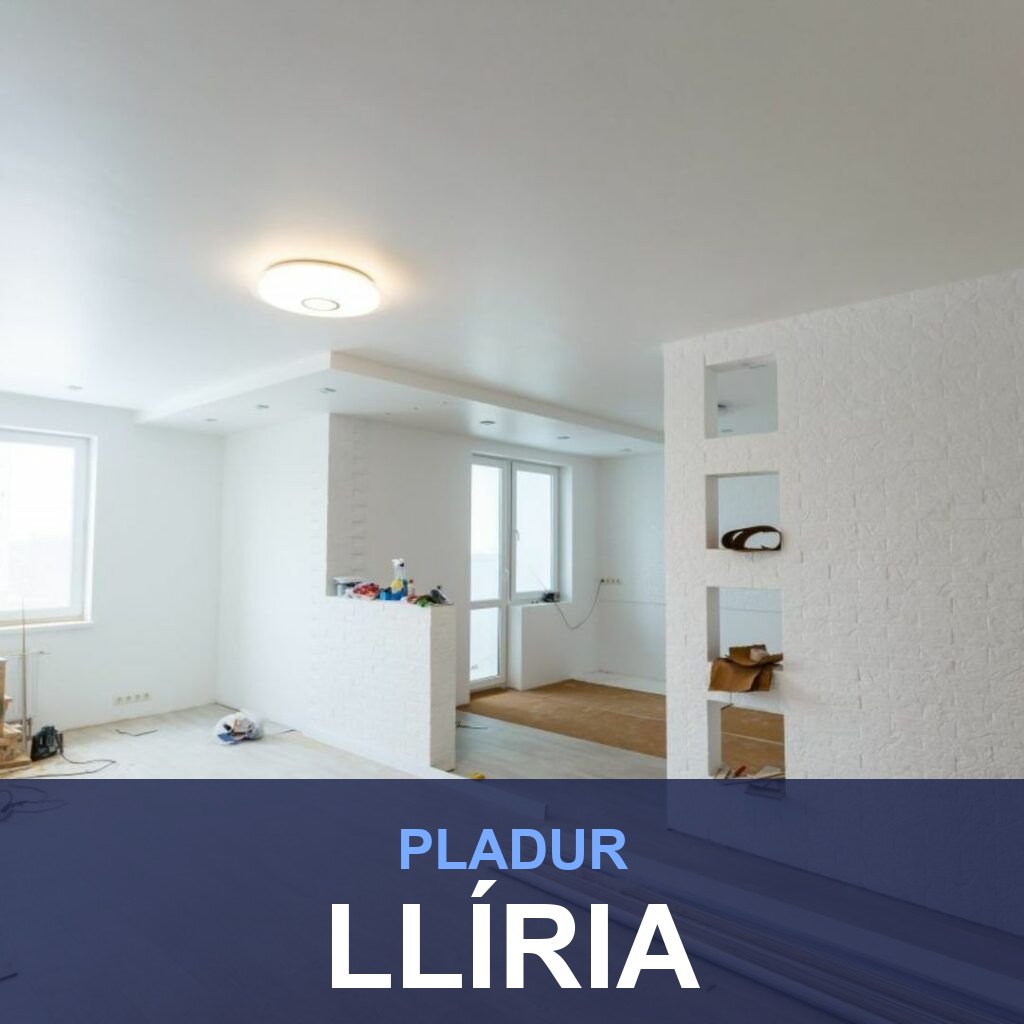 Pladur en Llíria: tabiques, techos y trasdosados