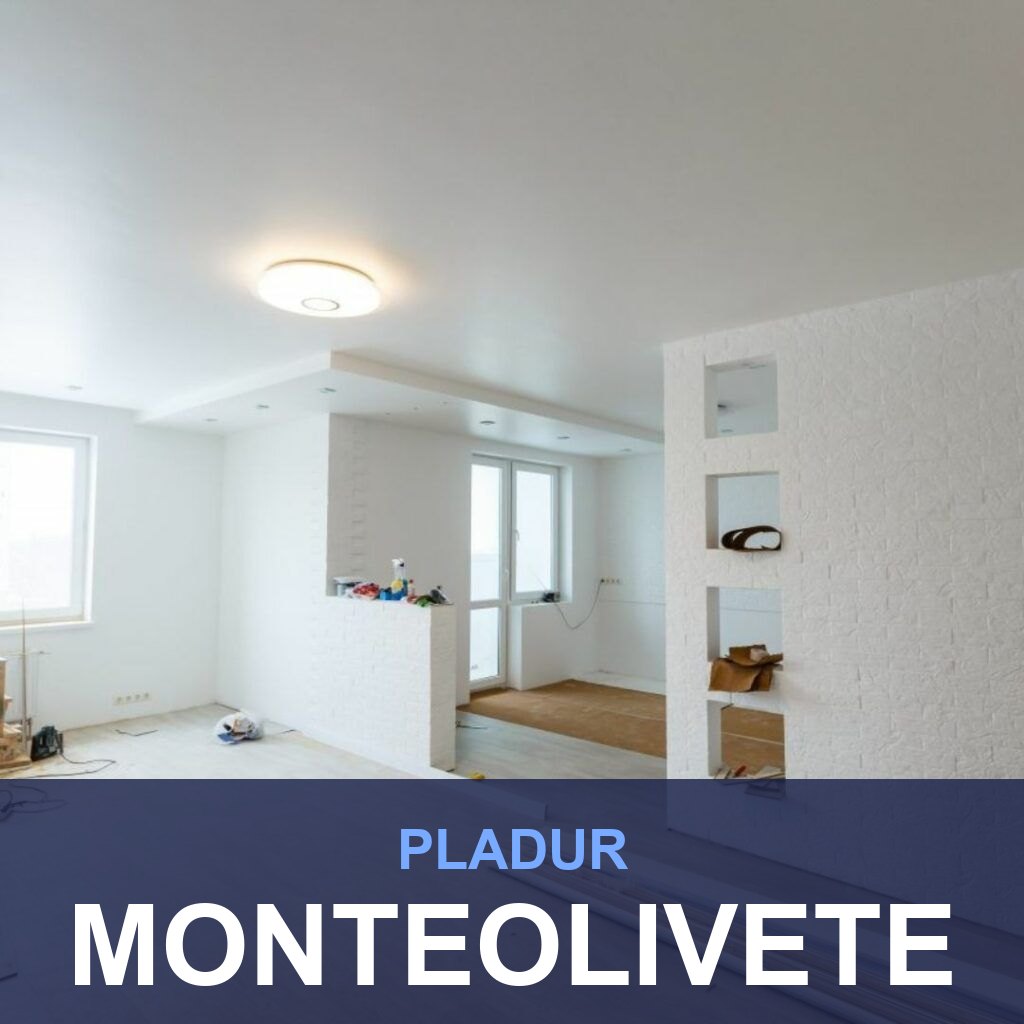 Pladur en Monteolivete: tabiques, techos y trasdosados