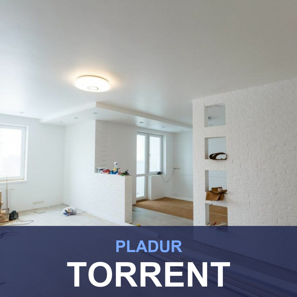 Pladur en Torrent: tabiques, techos y trasdosados